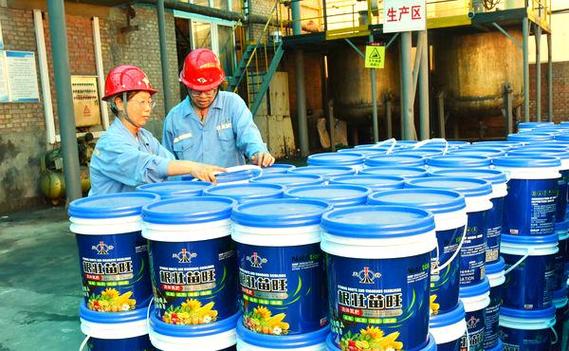 钾盐公司荣膺省级绿色工厂称号,引领行业可持续发展